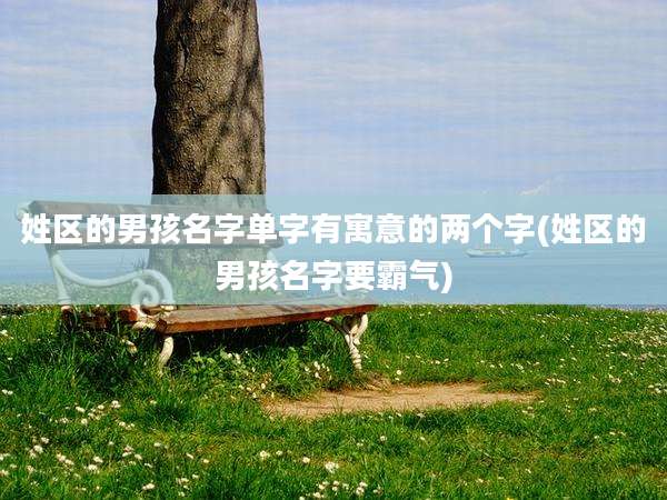 姓区的男孩名字单字有寓意的两个字(姓区的男孩名字要霸气)