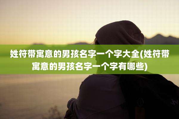 姓符带寓意的男孩名字一个字大全(姓符带寓意的男孩名字一个字有哪些)