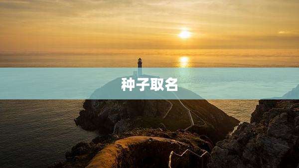 种子取名