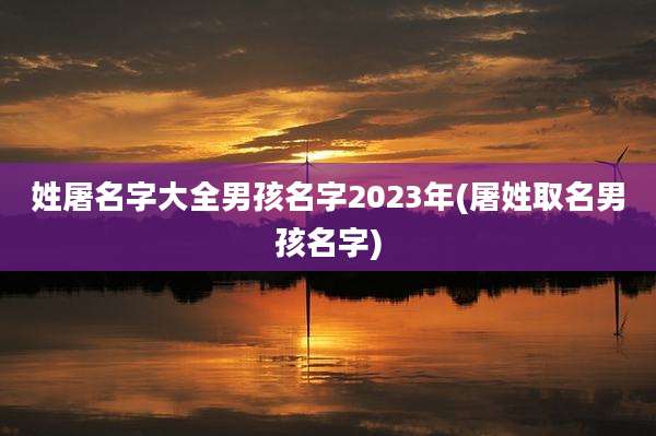 姓屠名字大全男孩名字2023年(屠姓取名男孩名字)