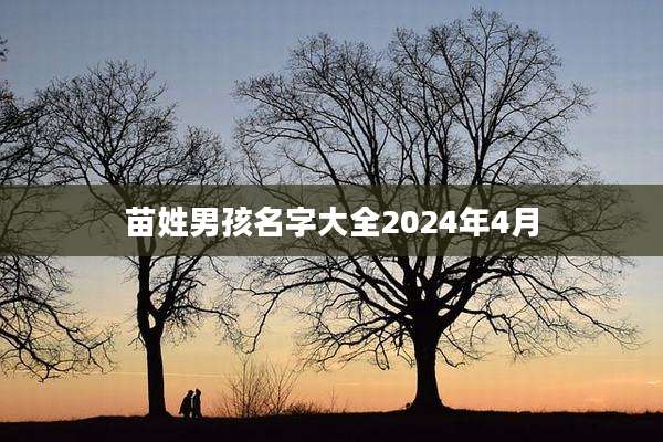 苗姓男孩名字大全2024年4月