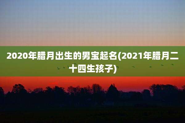 2020年腊月出生的男宝起名(2021年腊月二十四生孩子)