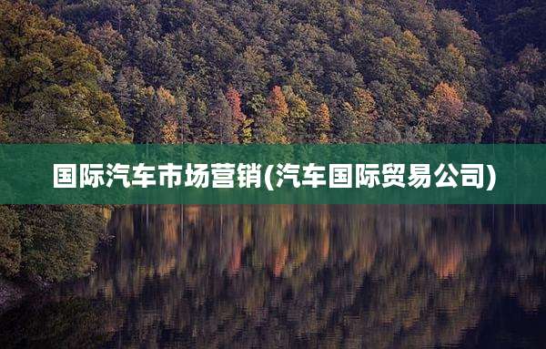 国际汽车市场营销(汽车国际贸易公司)