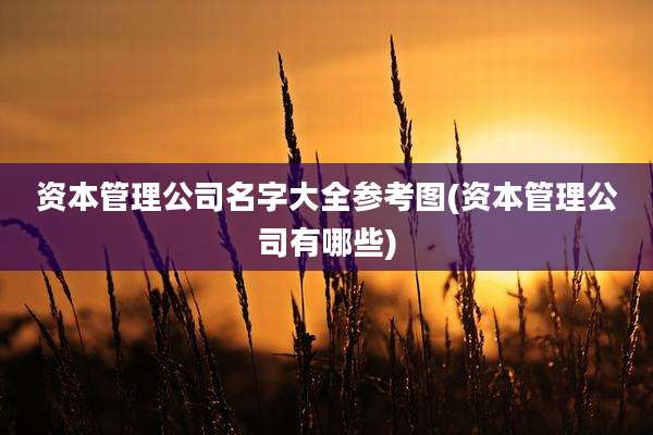 资本管理公司名字大全参考图(资本管理公司有哪些)