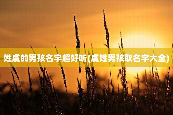 姓虞的男孩名字超好听(虞姓男孩取名字大全)