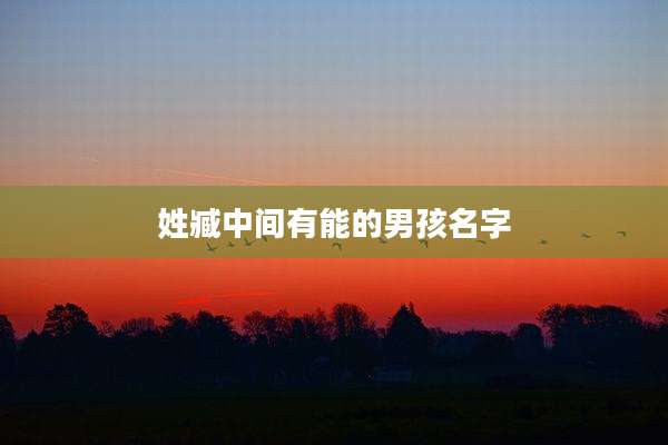姓臧中间有能的男孩名字