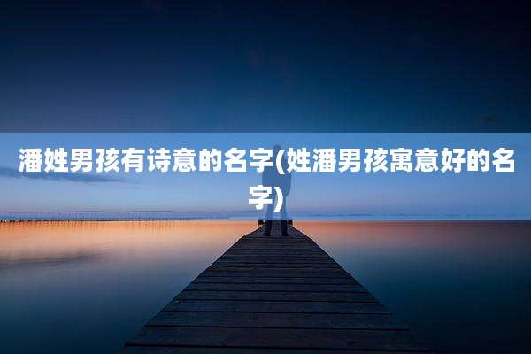 潘姓男孩有诗意的名字(姓潘男孩寓意好的名字)