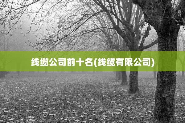 线缆公司前十名(线缆有限公司)