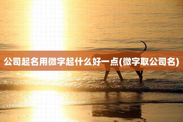 公司起名用微字起什么好一点(微字取公司名)