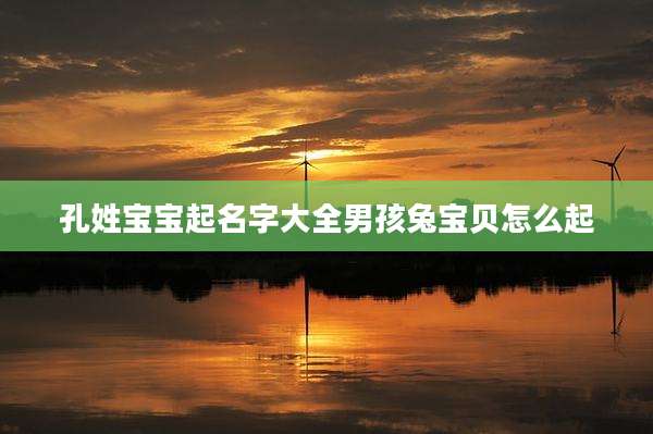 孔姓宝宝起名字大全男孩兔宝贝怎么起