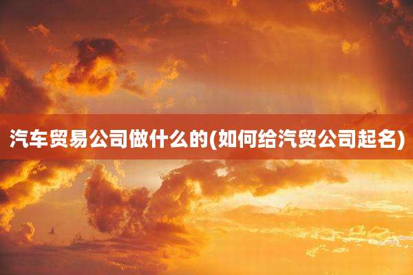 汽车贸易公司做什么的(如何给汽贸公司起名)