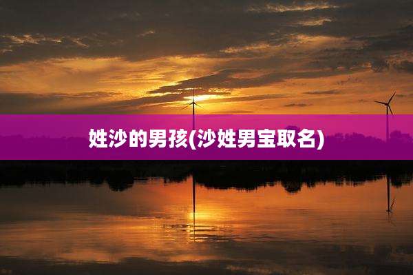 姓沙的男孩(沙姓男宝取名)
