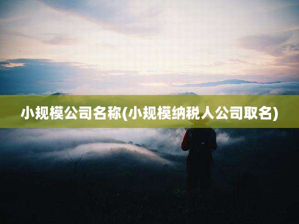 小规模公司名称(小规模纳税人公司取名)
