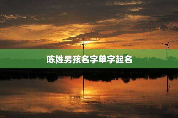 陈姓男孩名字单字起名
