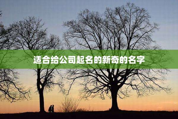 适合给公司起名的新奇的名字