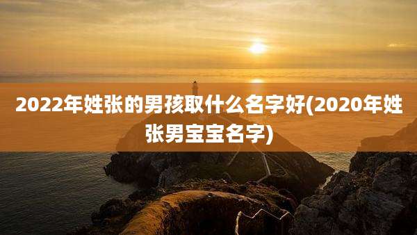 2022年姓张的男孩取什么名字好(2020年姓张男宝宝名字)