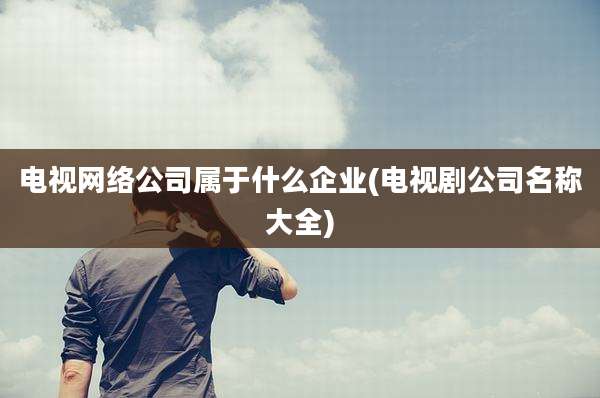 电视网络公司属于什么企业(电视剧公司名称大全)