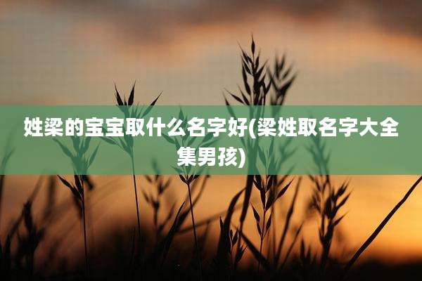 姓梁的宝宝取什么名字好(梁姓取名字大全集男孩)