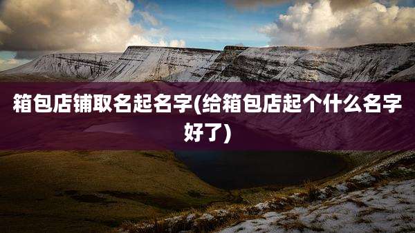 箱包店铺取名起名字(给箱包店起个什么名字好了)
