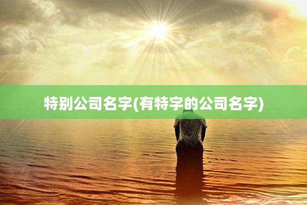 特别公司名字(有特字的公司名字)