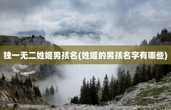 独一无二姓姬男孩名(姓姬的男孩名字有哪些)
