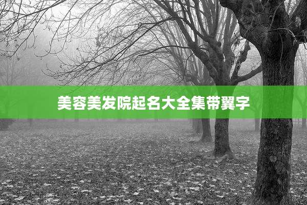 美容美发院起名大全集带翼字