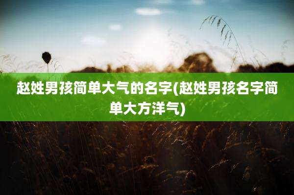 赵姓男孩简单大气的名字(赵姓男孩名字简单大方洋气)