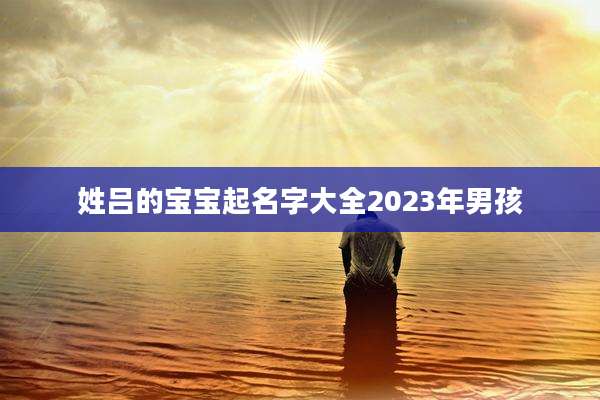 姓吕的宝宝起名字大全2023年男孩