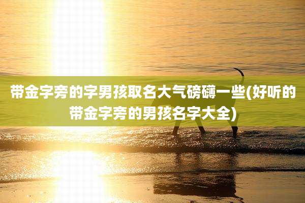 带金字旁的字男孩取名大气磅礴一些(好听的带金字旁的男孩名字大全)