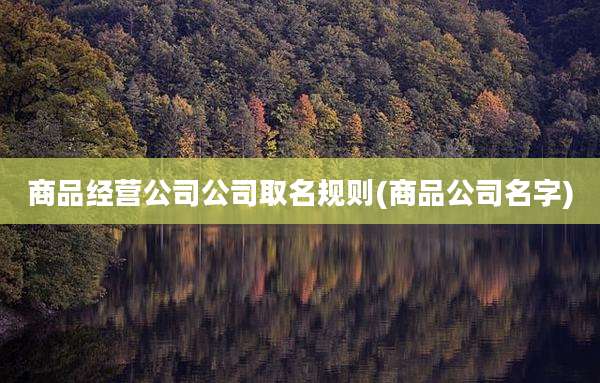 商品经营公司公司取名规则(商品公司名字)
