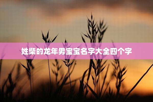姓柴的龙年男宝宝名字大全四个字