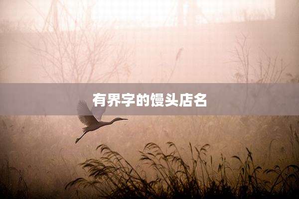 有界字的馒头店名