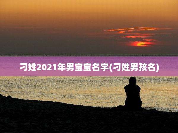 刁姓2021年男宝宝名字(刁姓男孩名)