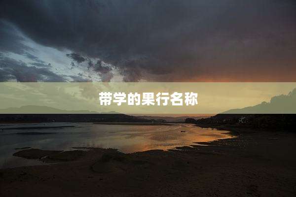 带学的果行名称