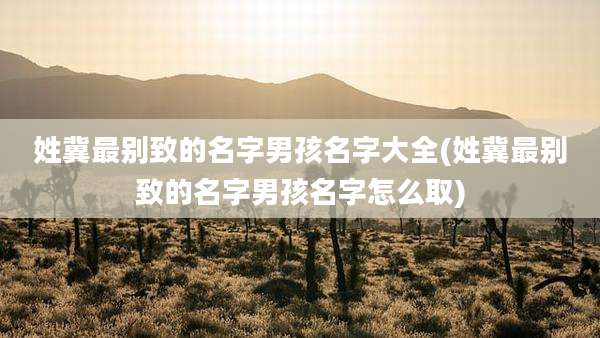 姓冀最别致的名字男孩名字大全(姓冀最别致的名字男孩名字怎么取)