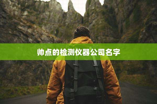 帅点的检测仪器公司名字