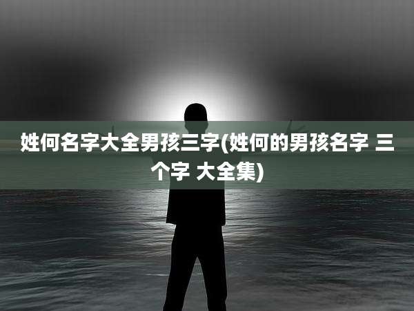 姓何名字大全男孩三字(姓何的男孩名字 三个字 大全集)