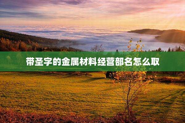 带圣字的金属材料经营部名怎么取