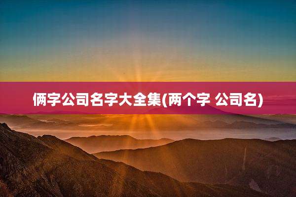 俩字公司名字大全集(两个字 公司名)
