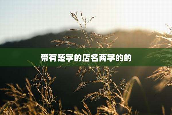 带有楚字的店名两字的的