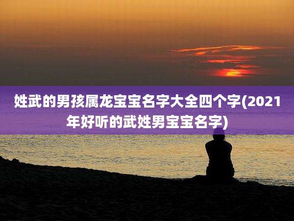 姓武的男孩属龙宝宝名字大全四个字(2021年好听的武姓男宝宝名字)