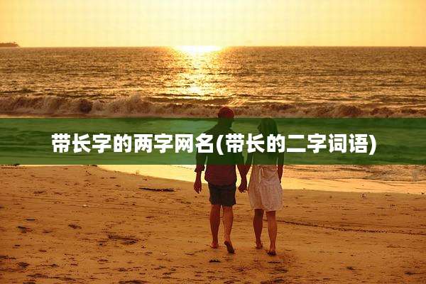 带长字的两字网名(带长的二字词语)