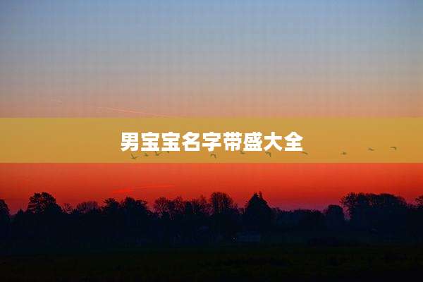 男宝宝名字带盛大全