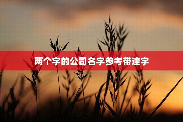 两个字的公司名字参考带速字