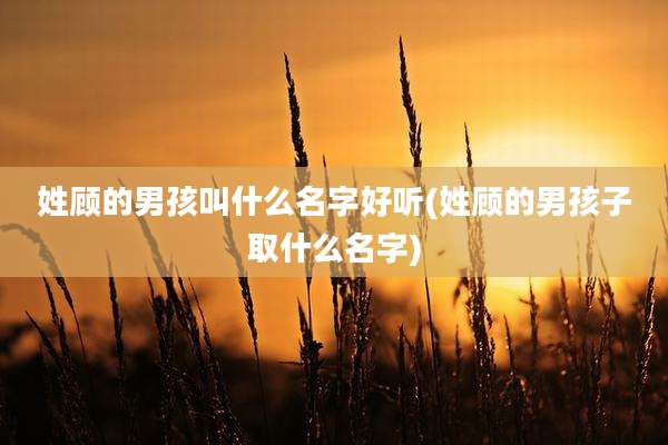 姓顾的男孩叫什么名字好听(姓顾的男孩子取什么名字)