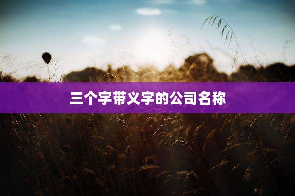 三个字带义字的公司名称