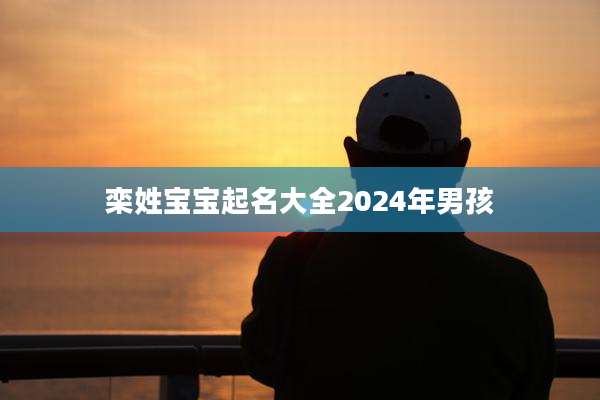 栾姓宝宝起名大全2024年男孩