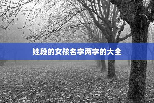 姓段的女孩名字两字的大全