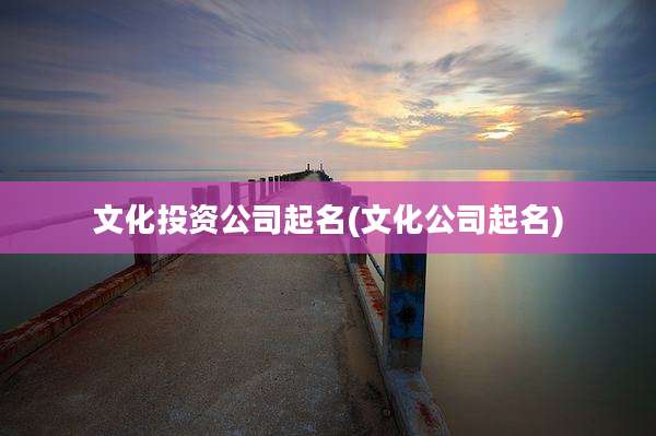 文化投资公司起名(文化公司起名)