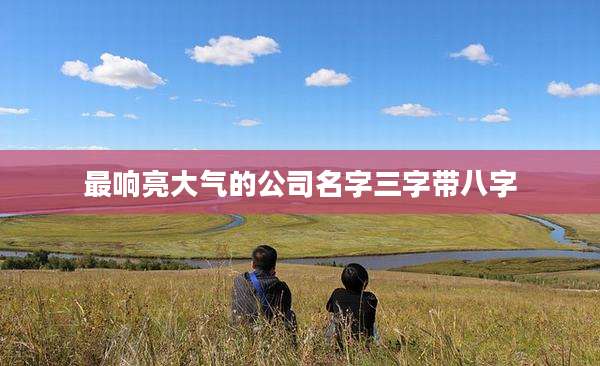 最响亮大气的公司名字三字带八字